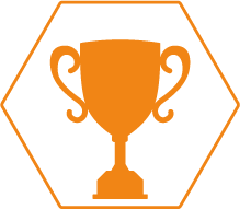 icona premio